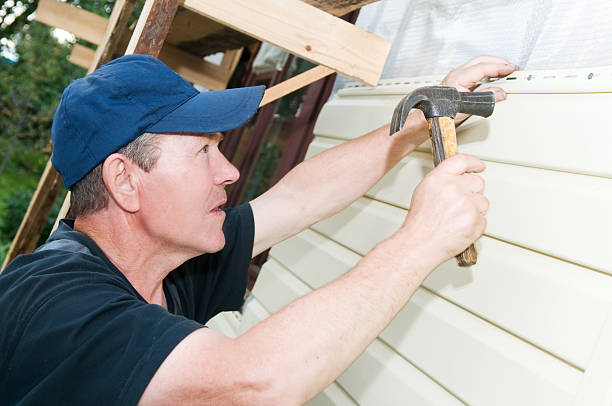 Affordable Siding Repair and Maintenance Services in Doniphan, MO