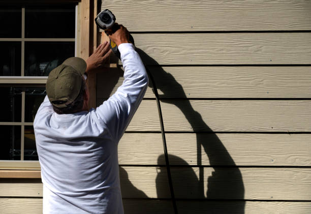 Best Vinyl Siding Installation  in Doniphan, MO